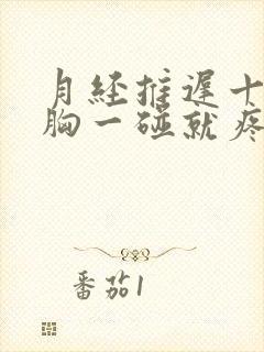 月经推迟十三天胸一碰就疼