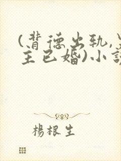 (背德出轨,男主已婚)小说