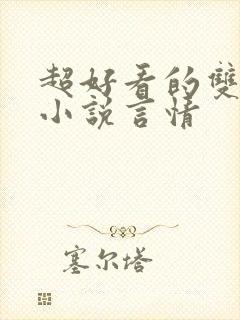 超好看的双男主小说言情