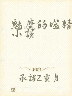 魅魔的噬精炼狱小说封面