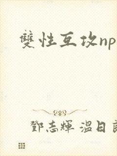 双性互攻np