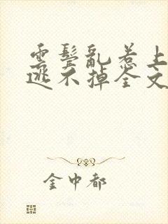 云鬓乱惹上权臣逃不掉全文免费