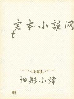 完本小说网txt封面