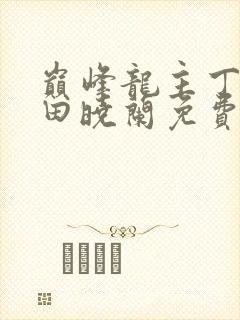 巅峰龙主丁长顺田晓兰免费阅读