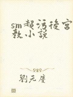 sm超污后宫调教小说