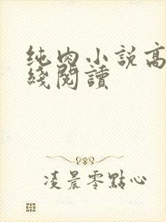 纯肉小说高h在线阅读