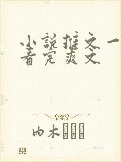 小说推文一口气看完爽文