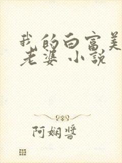 我的白富美总裁老婆 小说封面