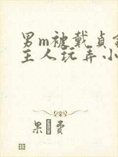 男m被戴贞锁被主人玩弄小说