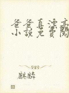 爸爸真漂亮全文小说免费阅读