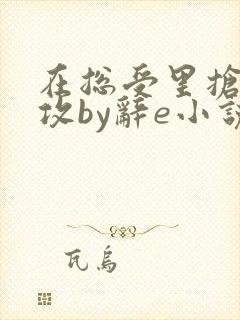 在总受里抢主角攻by辞e小说封面