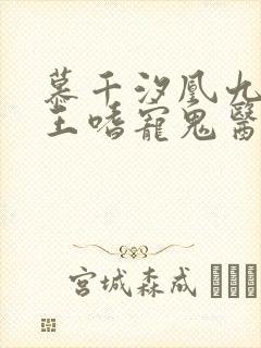 慕千汐凰九夜邪王嗜宠鬼医狂妃免费阅读