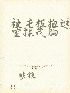 被老板抱进办公室揉我胸封面