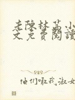 老陈林茜小说全文免费阅读