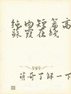 纯肉短篇高h文苏霞在线