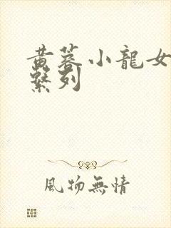 黄蓉小龙女h文系列
