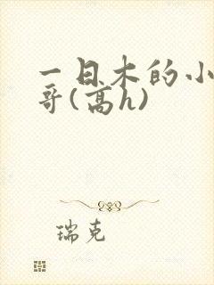 一日木的小说哥哥(高h)