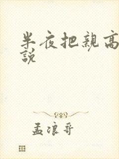 半夜把亲高潮小说