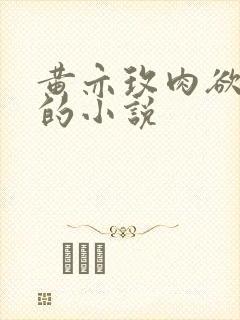 黄亦玫肉欲被c的小说封面