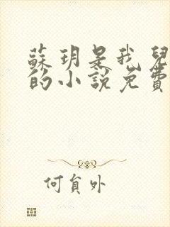 苏玥是我儿媳妇的小说免费阅读