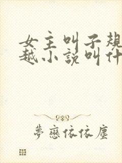 女主叫子规的穿越小说叫什么