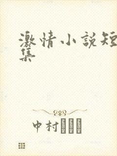 激情小说短篇合集封面