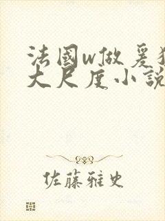 法国w做爰猛烈大尺度小说