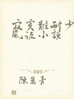 寂寞难耐少妇的风流小说