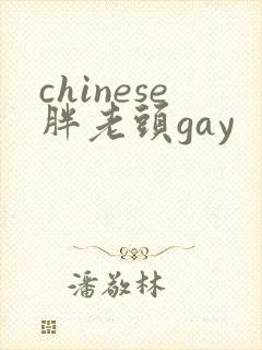chinese胖老头gay封面
