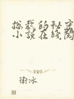 总裁的秘密情人小说在线阅读免费