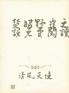 楚昭野崔之棠小说免费阅读最新章节