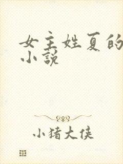 女主姓夏的现代小说