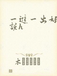 一进一出好爽小说h