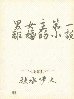 男女主第一章就离婚的小说