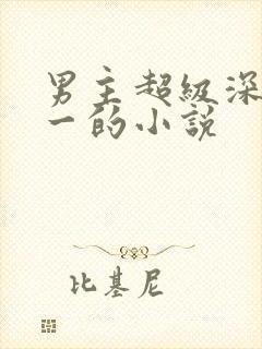 男主超级深情专一的小说封面