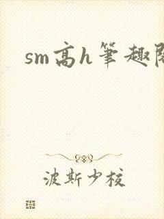 sm高h笔趣阁