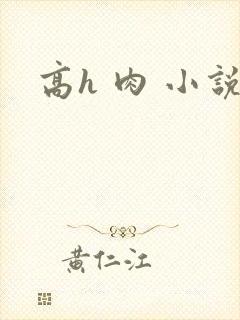 高h 肉 小说