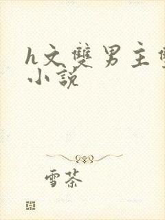 h文双男主双性小说