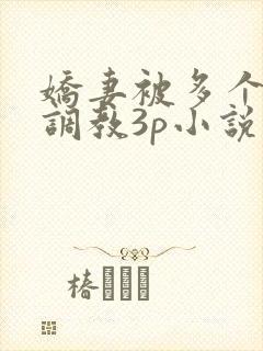 娇妻被多个男人调教3p小说封面