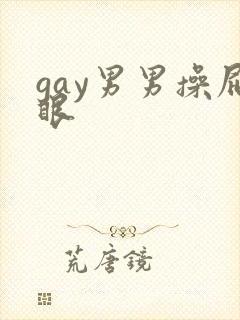 gay男男操屁眼