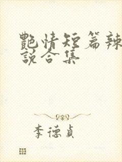 艳情短篇辣文小说合集封面