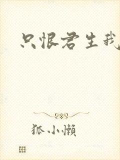只恨君生我未生封面