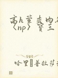 高h荤爽肉欲文〈np〉宝玉