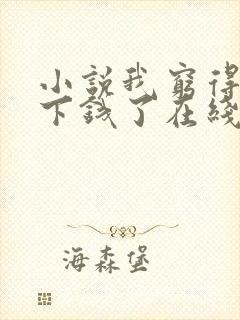 小说我穷得就剩下钱了在线阅读