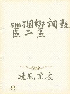 sm捆绑调教一区二区封面