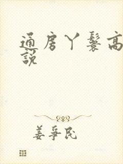 通房丫鬟高h小说