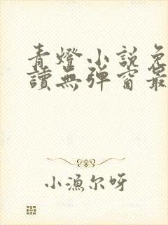 青灯小说免费阅读无弹窗最新章节