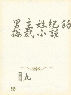 男主姓纪的霸道总裁小说