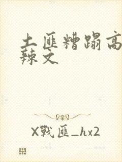 土匪糟蹋高h肉辣文封面