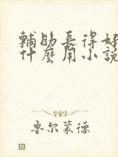 辅助长得好看有什么用小说